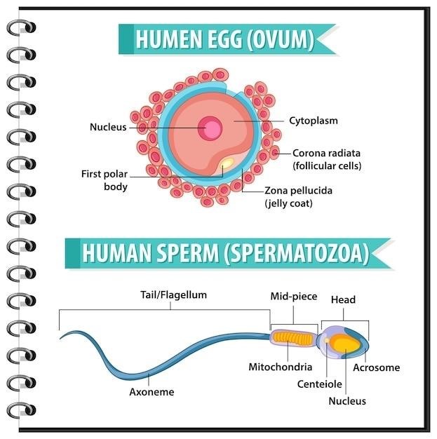 normal sperm analysis report pdf