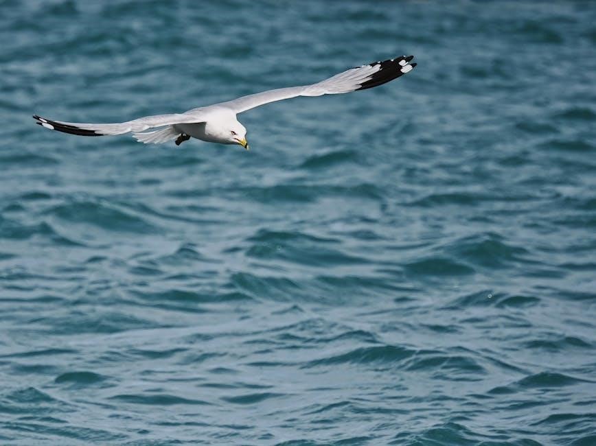 fourth wing pdf online free